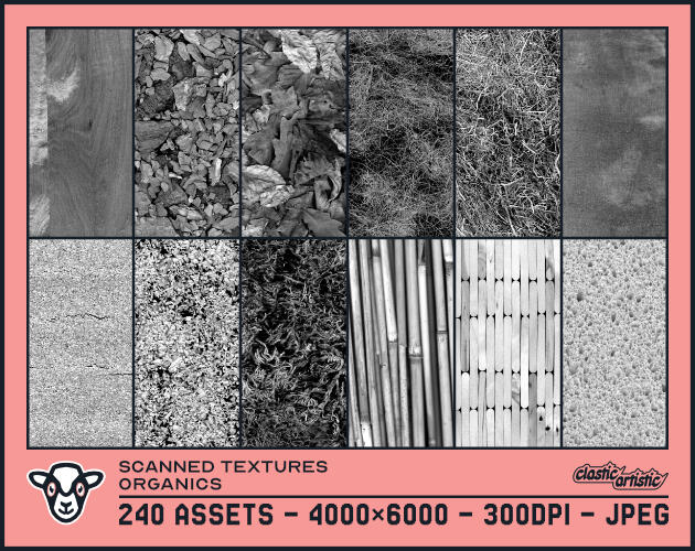Scanned Textures - Organics Scanned Textures Organics asset pack thumbnail. The image shows twelve examples of organic objects that have been scanned as textures. The text below reads: 240 Assets – 4000×6000 – 300dpi – JPEG